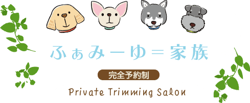 プライベートサロンふぁみーゆ 1匹1匹に向き合ったトリミングを プライベートサロンふぁみーゆ 1匹1匹に向き合ったトリミングを